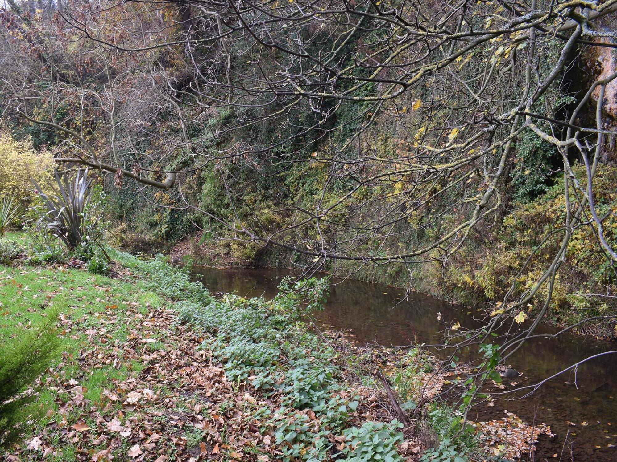 Pheasant Lodge Staithes Kültér fotó
